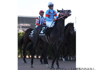 競馬ニュース 競馬ニュースなら 競馬のおはなし ページ 935