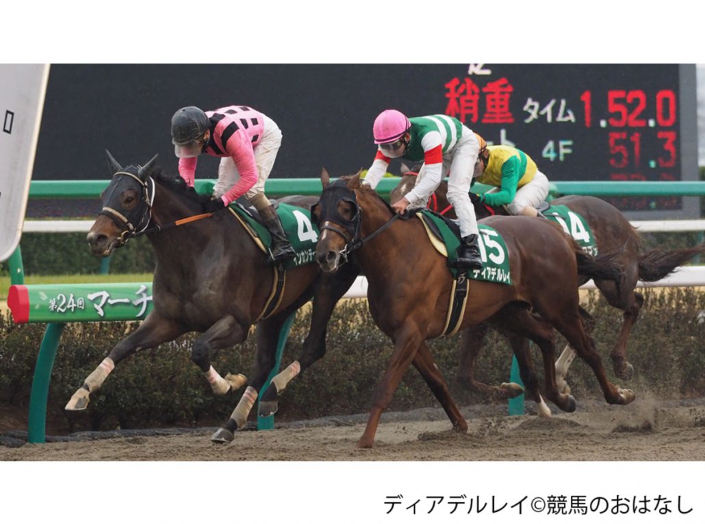 オアシスステークス 登録馬 ベストマッチョ ディアデルレイなど27頭 競馬ニュースなら 競馬のおはなし