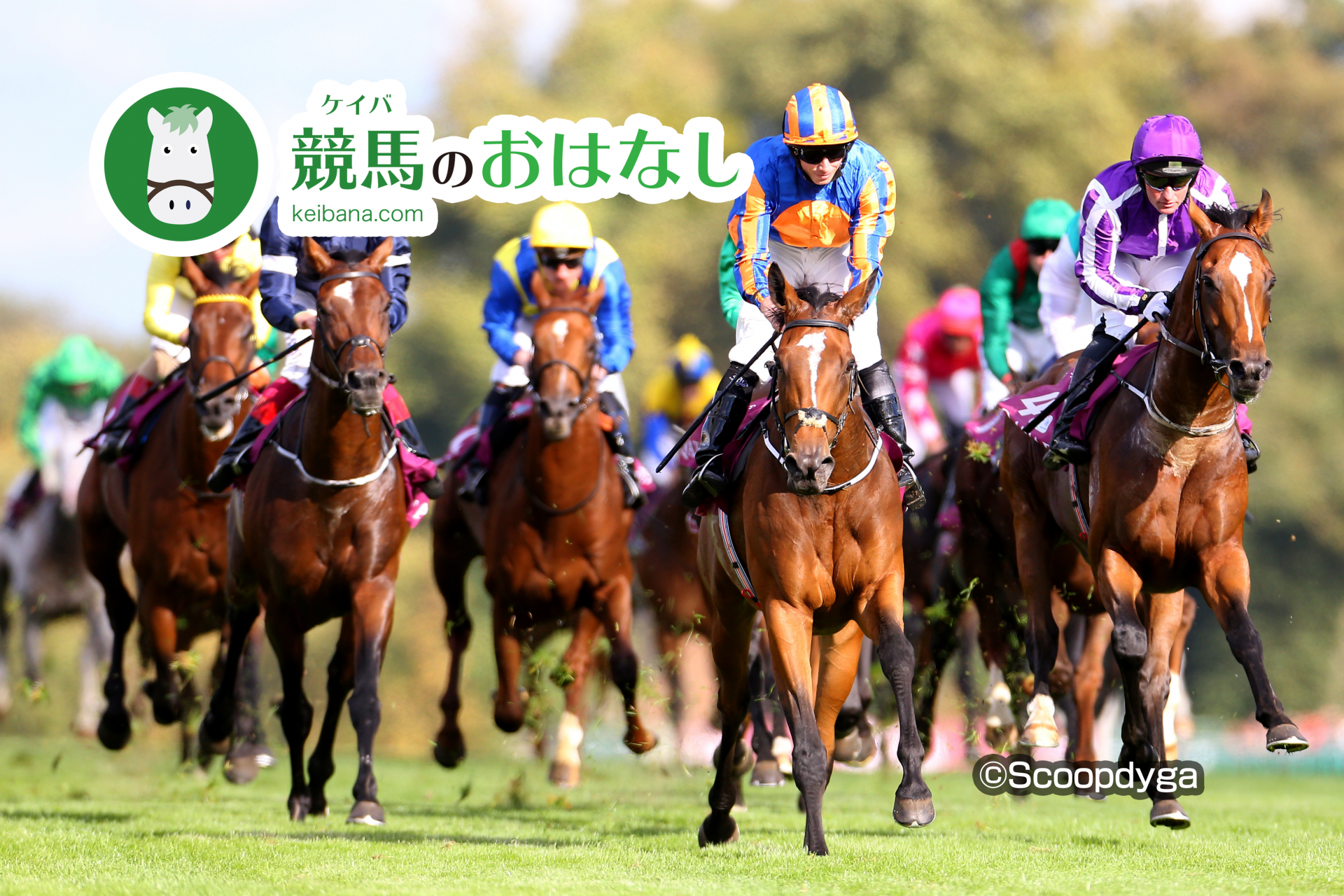 【中山5R/2歳新馬】スクリーンヒーロー産駒 オトナノジジョウがデビュー勝ち