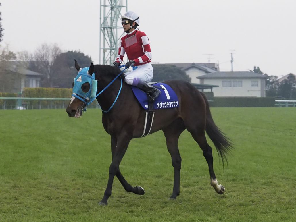 有馬記念 強い3歳世代 ブラストワンピースが世代交代を宣言 競馬