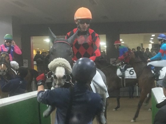 土曜東京４Ｒ新馬は柴田政人厩舎の最低人気チバタリアンが制す