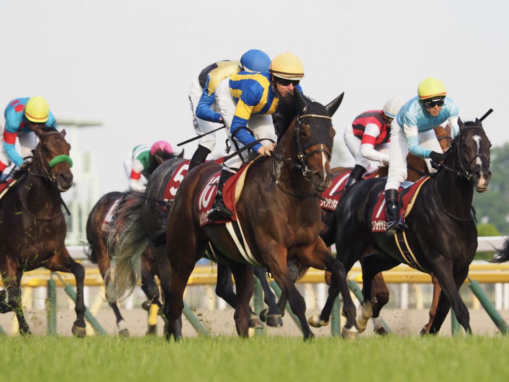 目黒記念 大竹師 最後に止まったのは初めて レース後 関係者コメント 競馬ニュースなら 競馬のおはなし