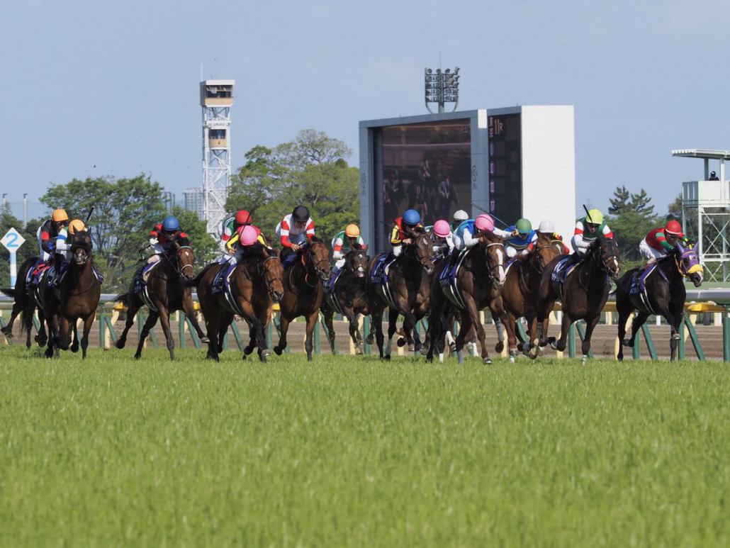 Nhkマイルc 川田 デキは凄くよかった レース後 ジョッキーコメント 競馬ニュースなら 競馬のおはなし