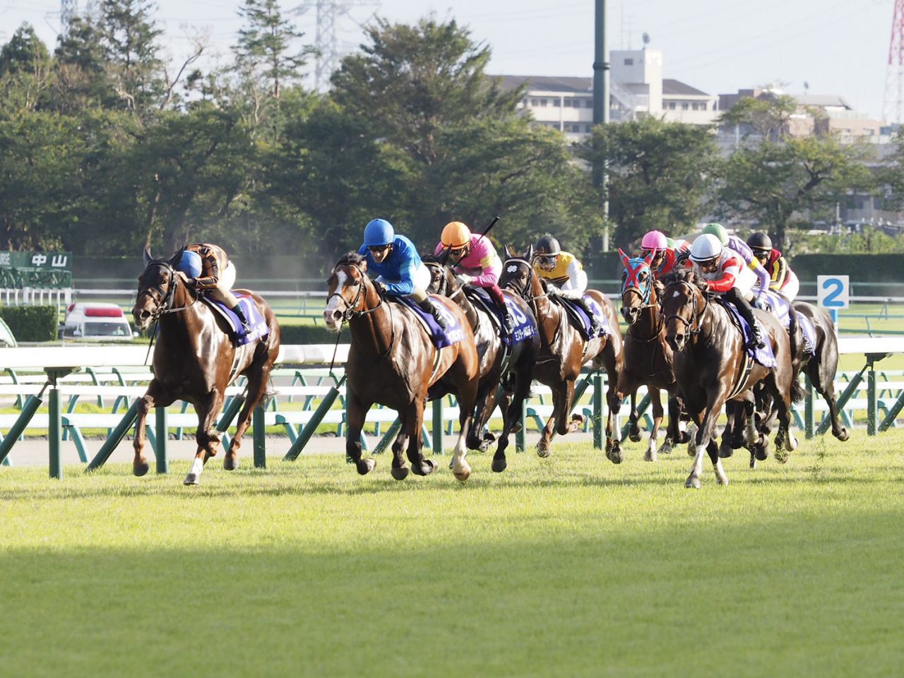 【スプリンターズS】川田「馬の雰囲気は抜群に良かった」レース後ジョッキーコメント