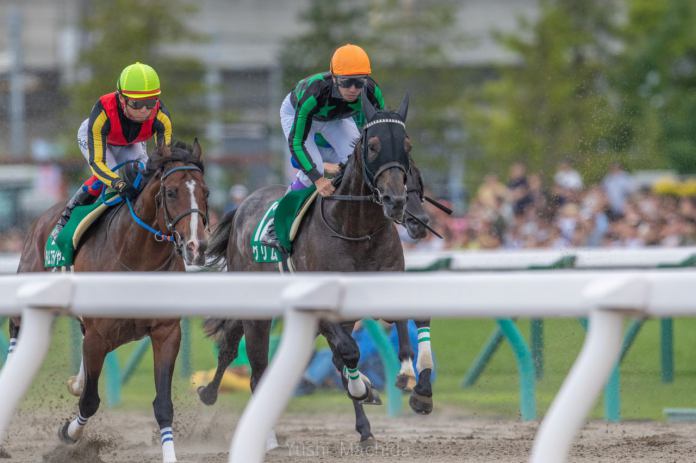 【白山大賞典】JRA出走予定馬 | 競馬ニュースなら「競馬のお ...