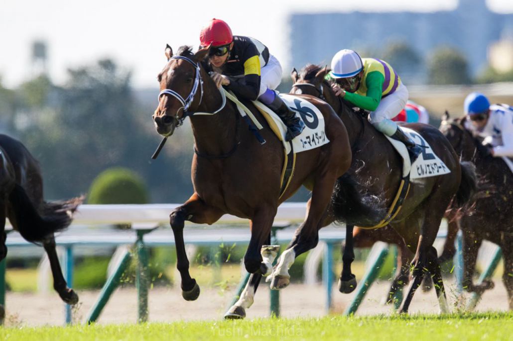 京都3r 武豊 オーマイダーリンが直線一気の末脚で初勝利 競馬ニュースなら 競馬のおはなし