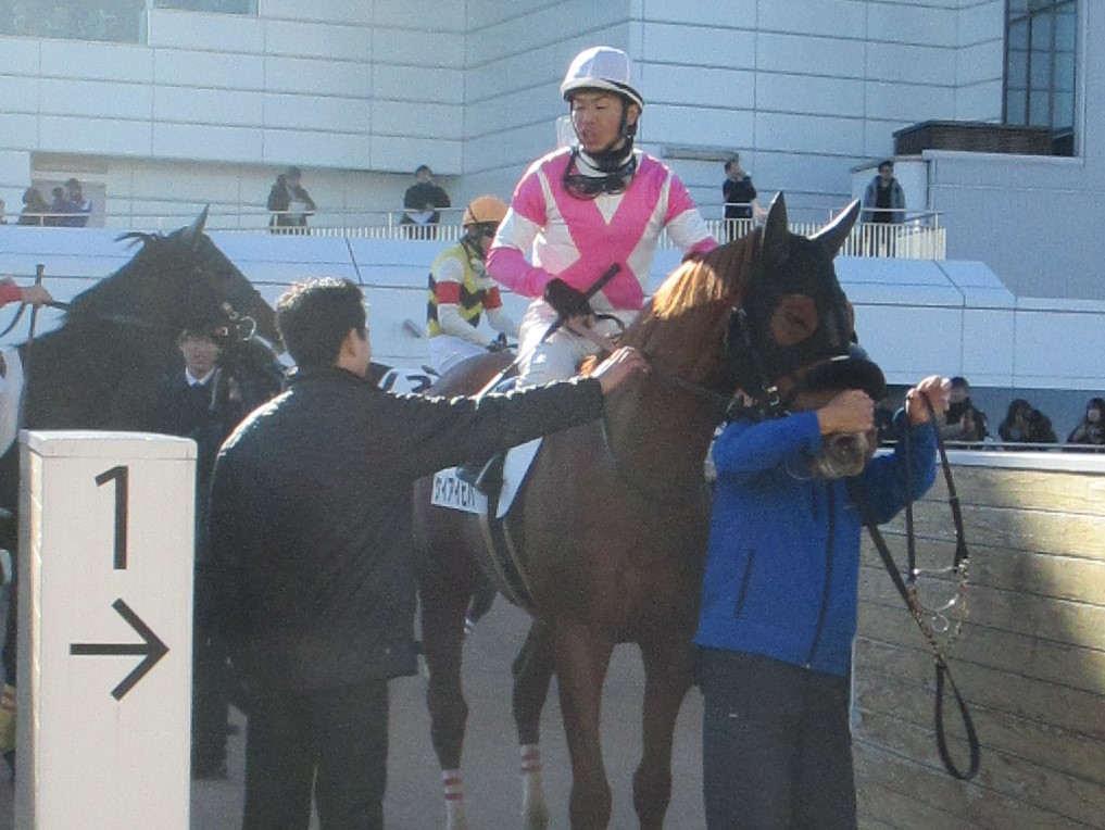 土曜中山６Ｒ新馬は５番人気のケイアイピハが３馬身差の圧勝