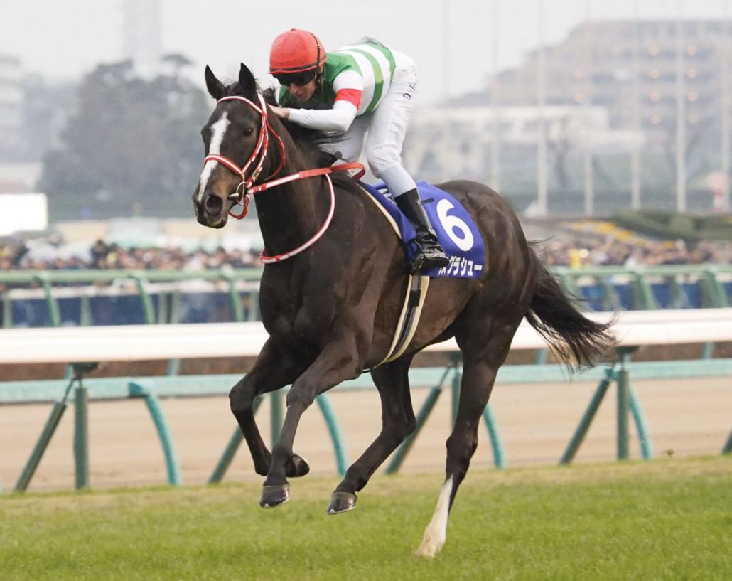 有馬記念ファン投票スタート 競馬ニュースなら 競馬のおはなし