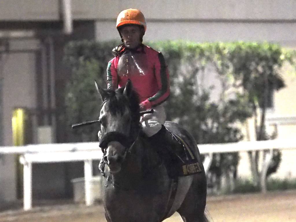 【帝王賞】デムーロ「勝った馬が強かった」オメガパフュームは2着