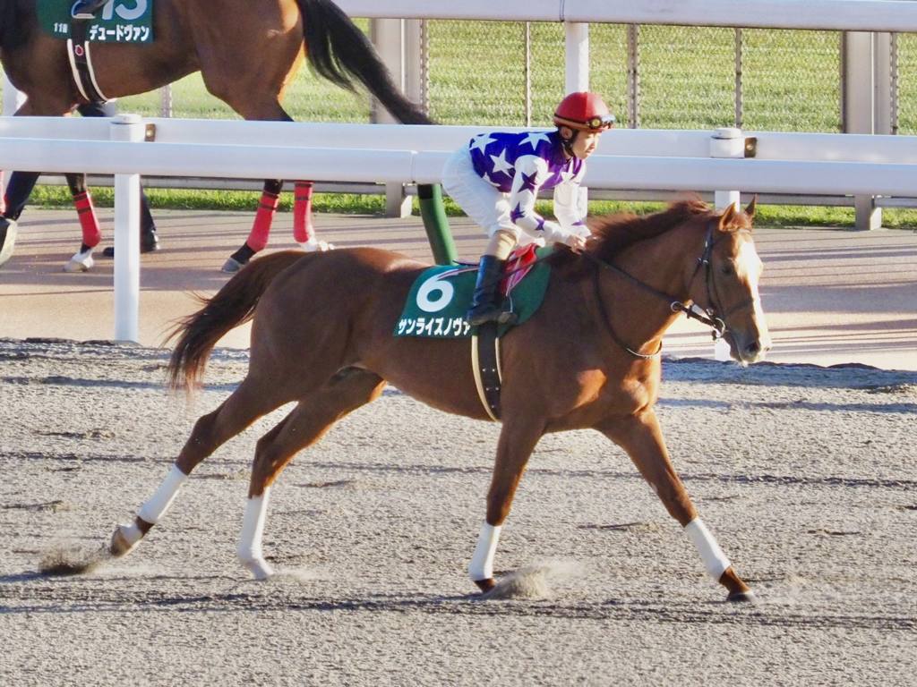 【武蔵野S】松若「馬から力を感じる」サンライズノヴァが重賞5勝目