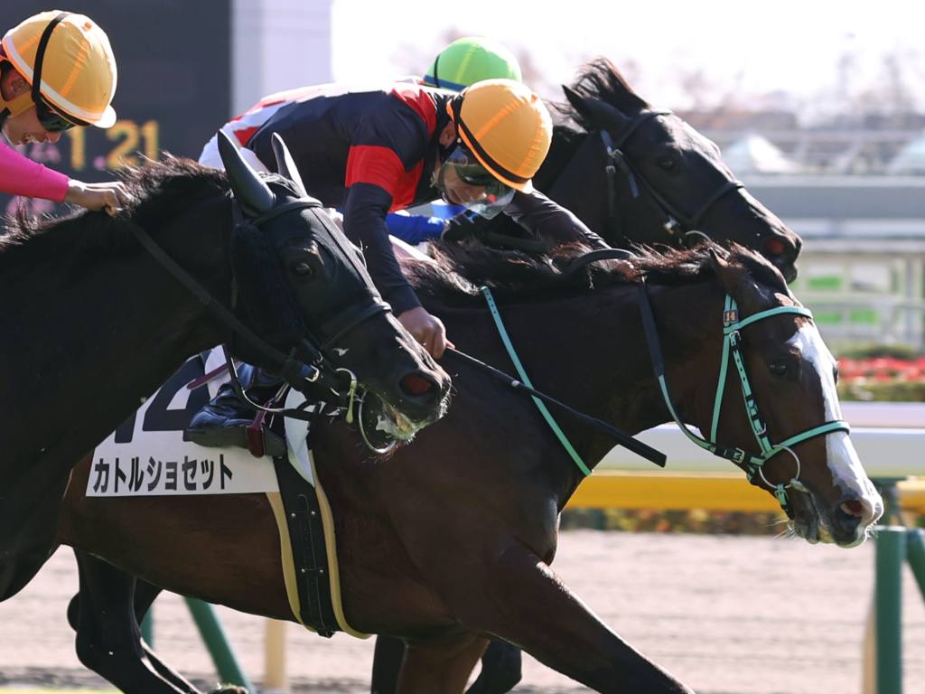 【東京3R】横山武「よく頑張ってくれた」カトルショセットが初勝利