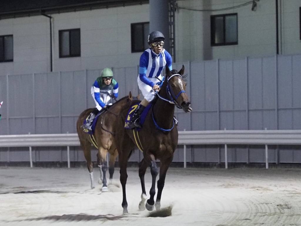 【川崎・ロジータ記念】ルイドフィーネが重賞初V！南関2冠牝馬のアクアリーブルは2着