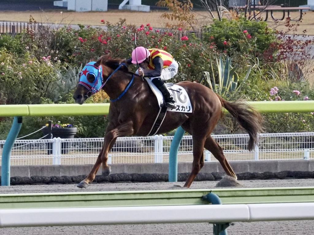 【福島9R】アスカリが5馬身差圧勝！人気に応える