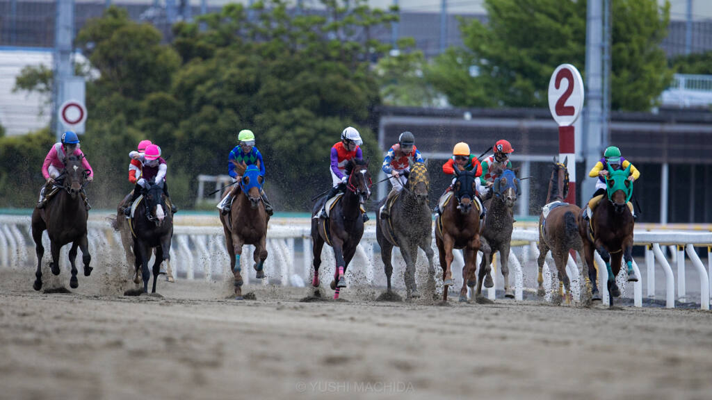 カラ馬逆走 直線であわや衝突 競馬ニュースなら 競馬のおはなし