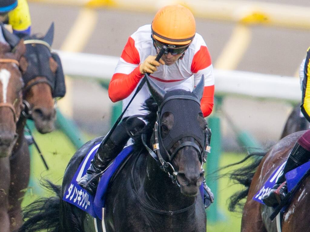 【2021香港国際競走】日本馬の近況（12月6日）