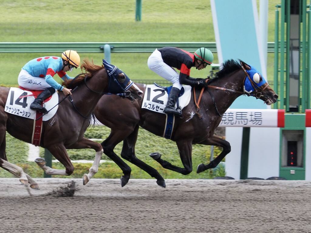 東京7r ルコルセールがダートで2連勝 21年6月日 Biglobeニュース