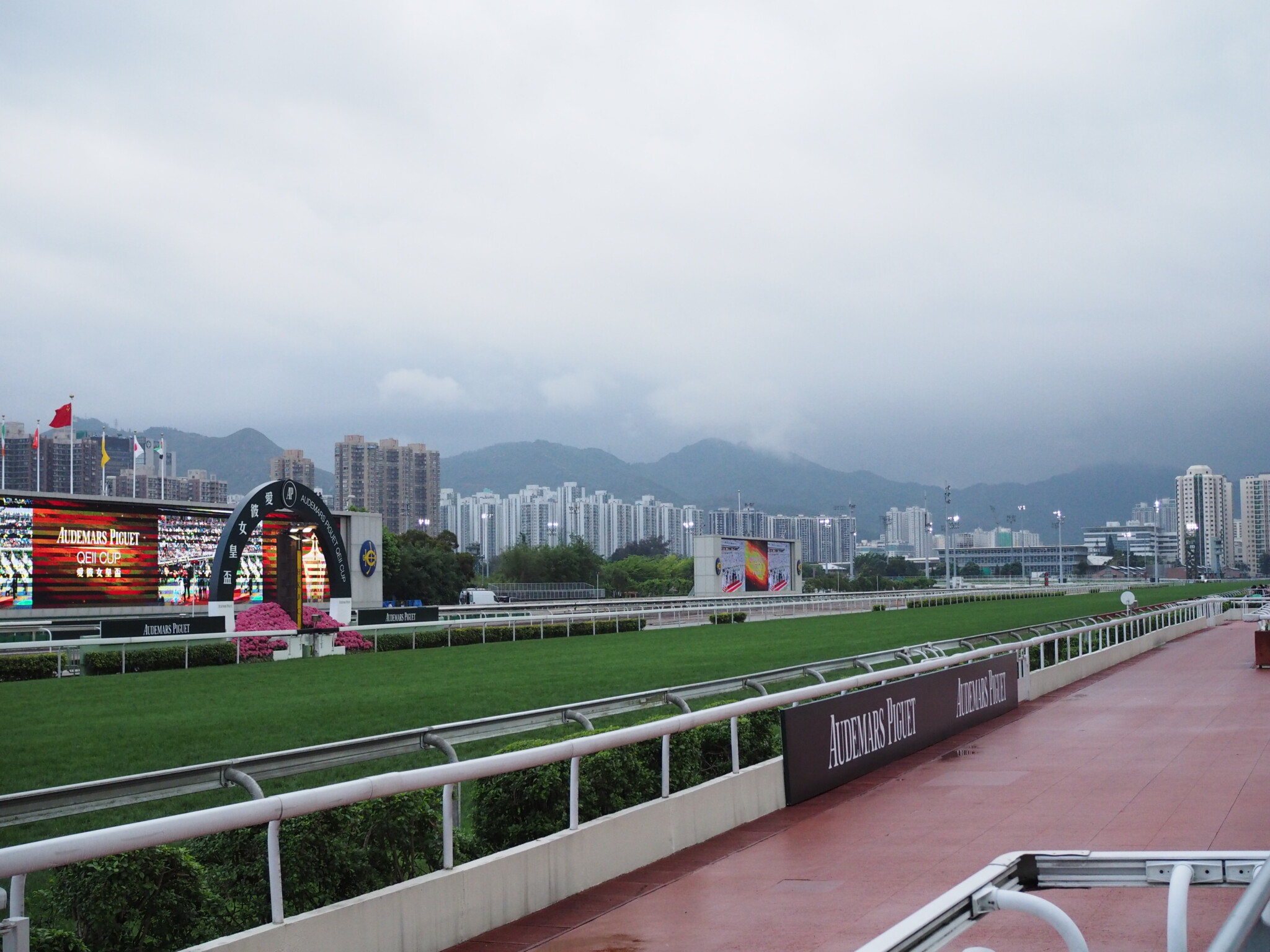 【2021香港国際競走】日本馬の近況（12月11日）