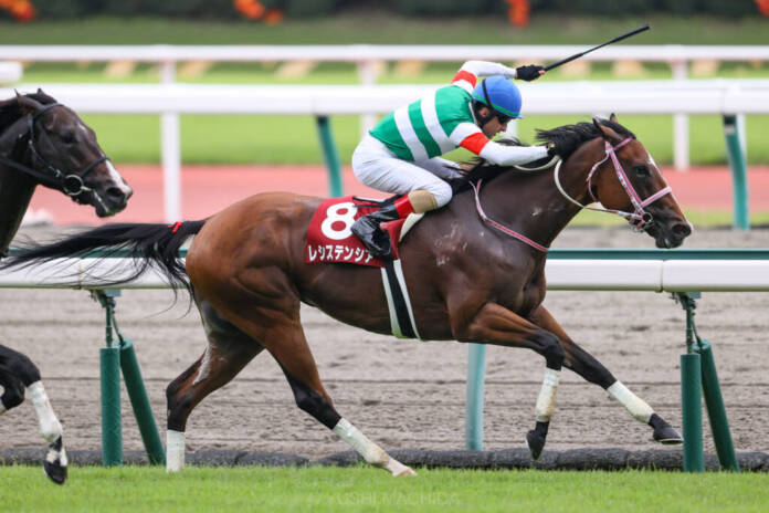 【2021香港国際競走】日本馬の近況（12月10日）