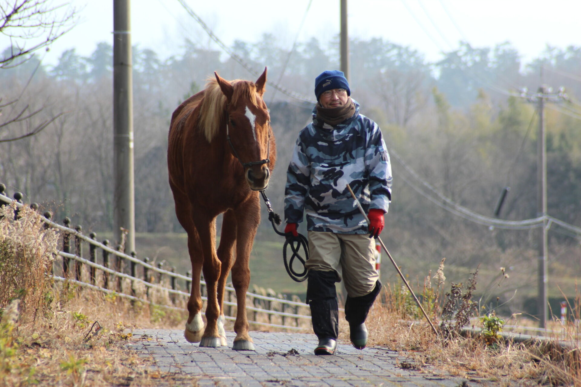 角居勝彦元調教師が取り組むホースセラピープロジェクト | 競馬ニュースなら競馬のおはなし