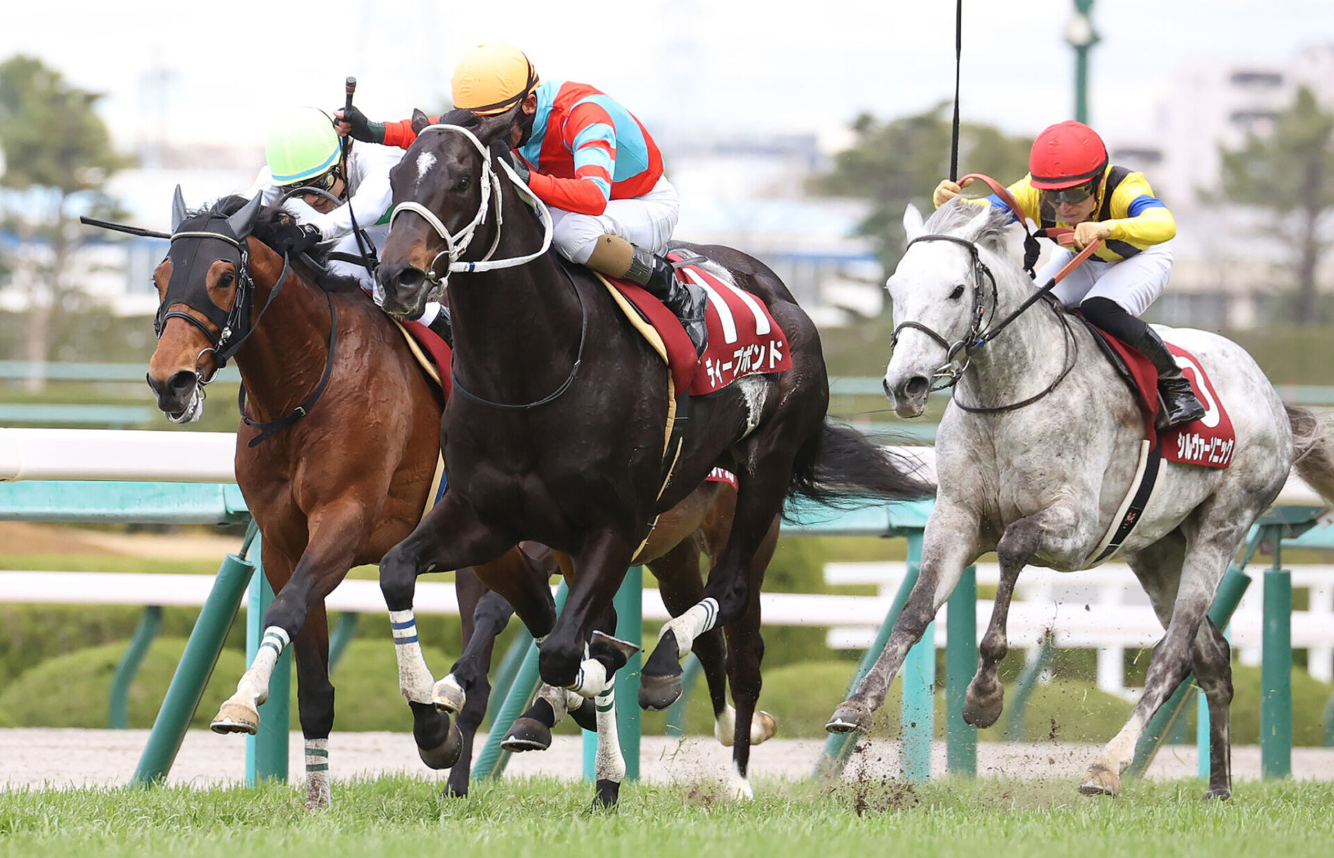 88a74d3a557bd68e597607238d3d86