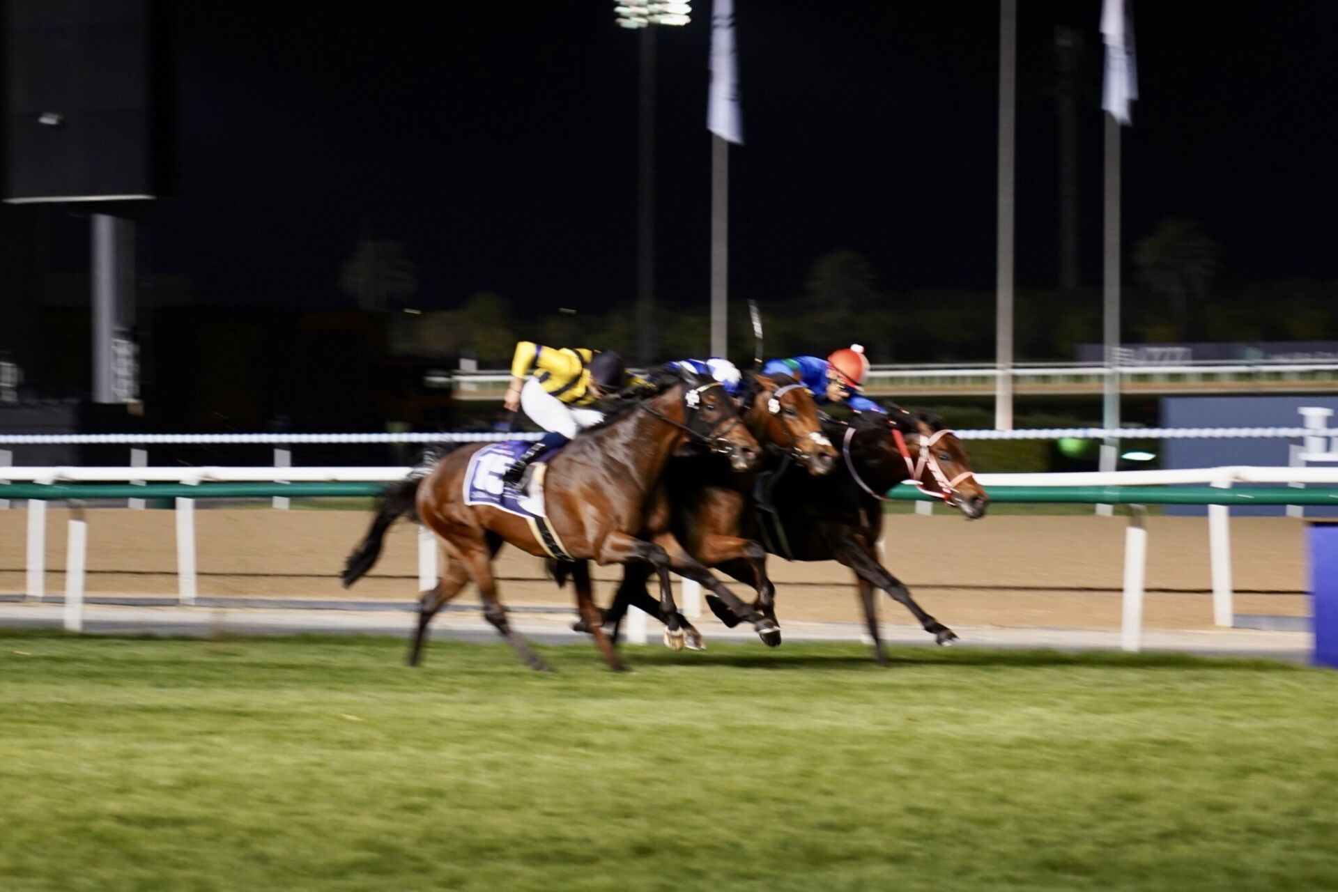 ドバイターフ】吉田豊「本当に嬉しいです」パンサラッサが1着同着 | 競馬ニュースなら競馬のおはなし