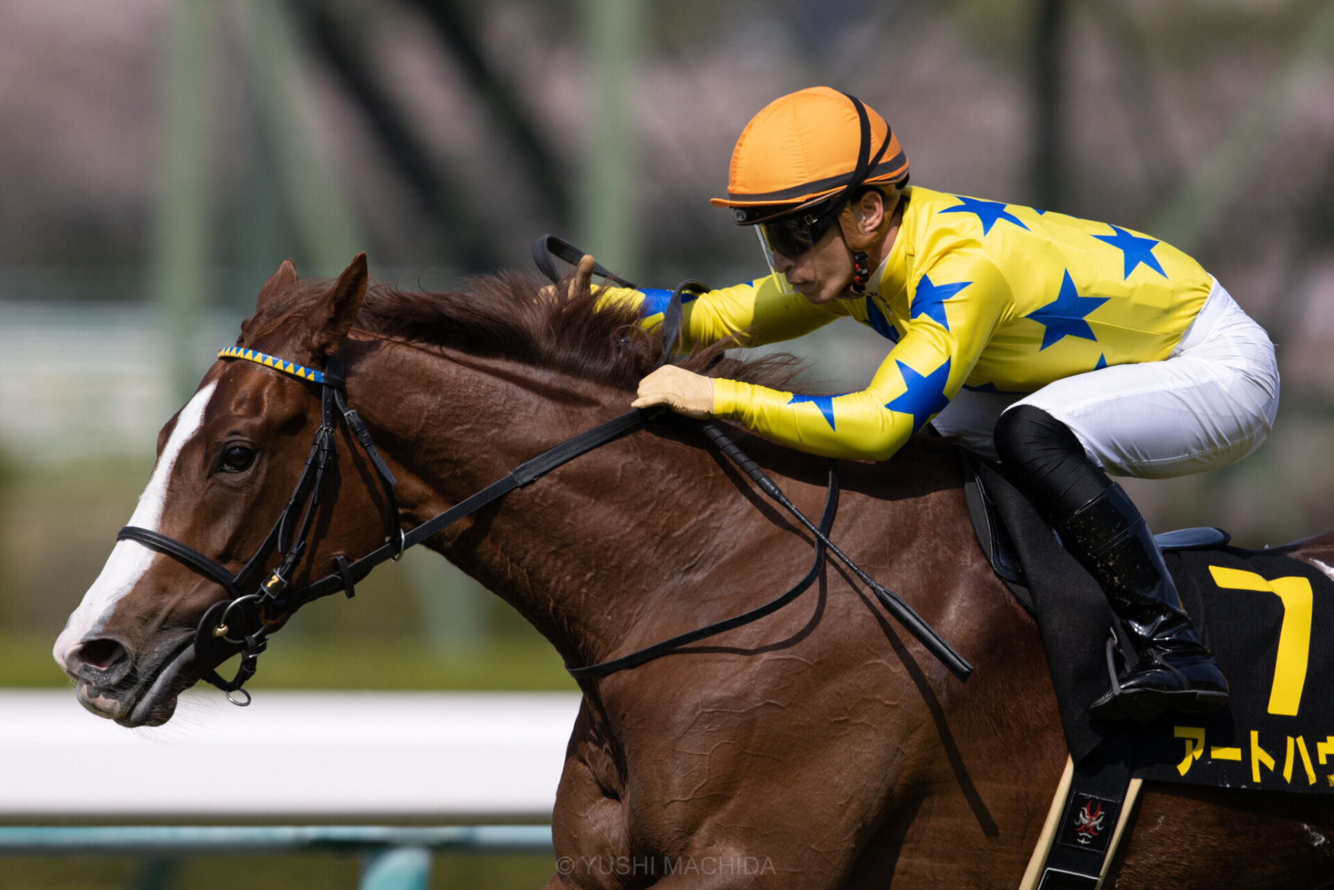 忘れな草賞 スクリーンヒーロー産駒 アートハウスが2勝目 競馬ニュースなら競馬のおはなし
