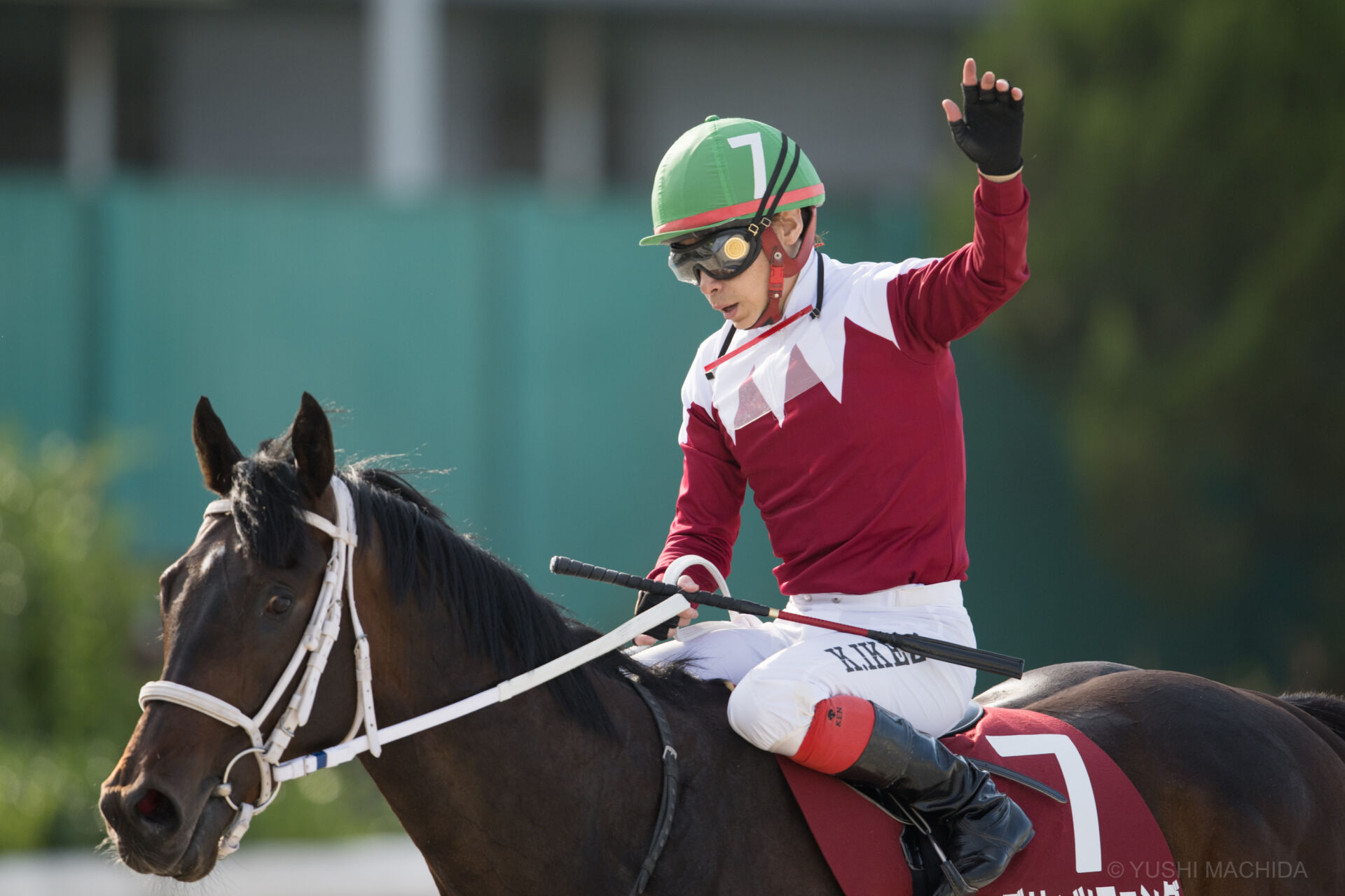 【白山大賞典】JRA出走予定馬 競馬ニュースなら競馬のおはなし