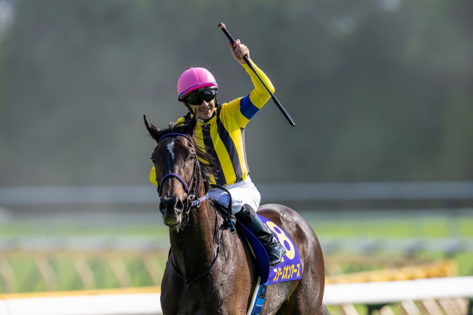 オークス】スターズオンアースが牝馬二冠達成 | 競馬ニュースなら競馬のおはなし