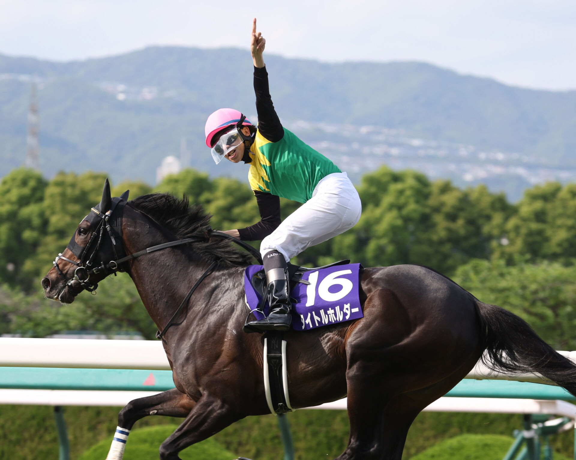 使い勝手の良い】 競馬 JRA 天皇賞春 タイトルホルダー ポスター B1