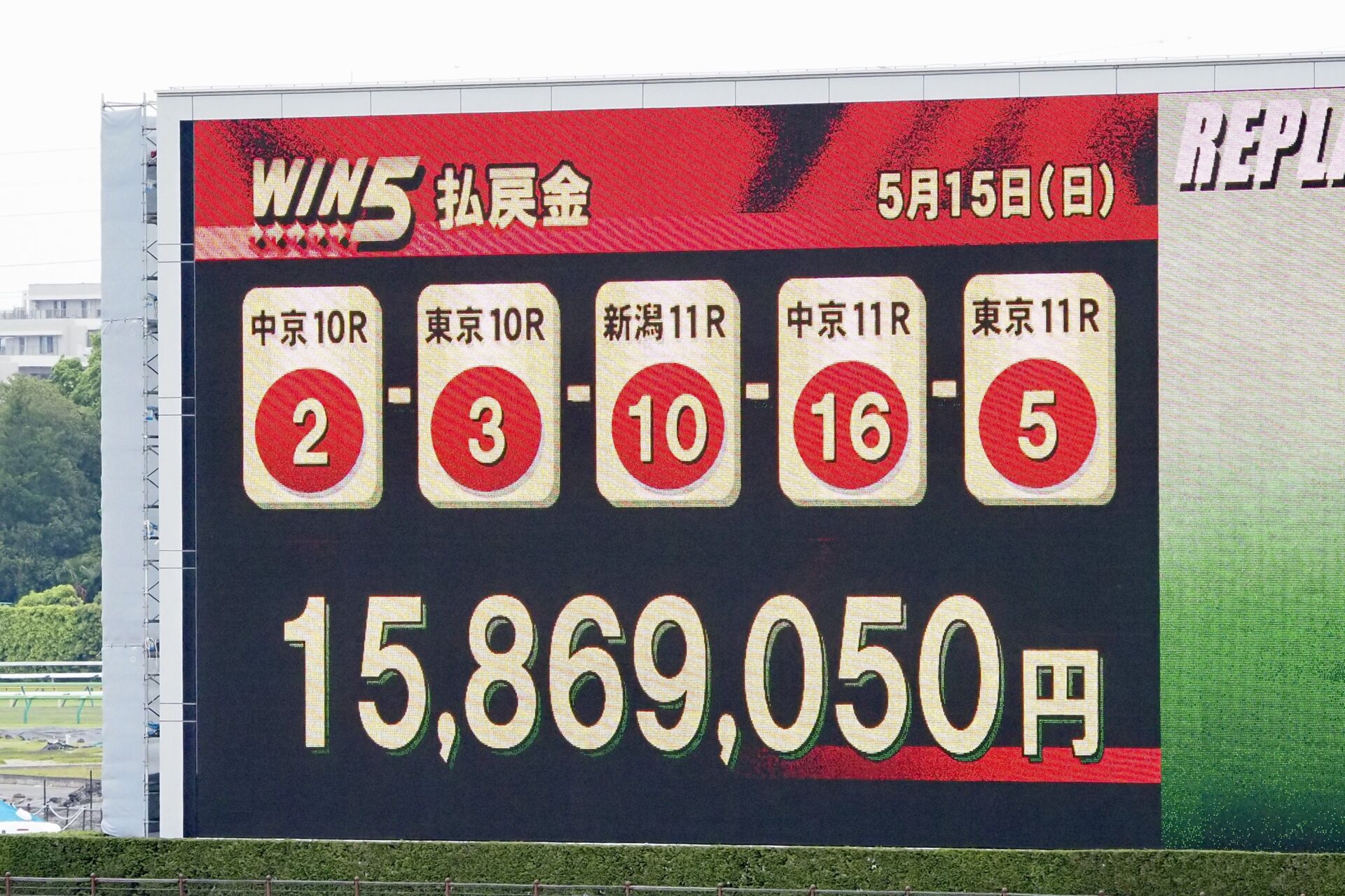 WIN5は1500万円超え | 競馬ニュースなら競馬のおはなし