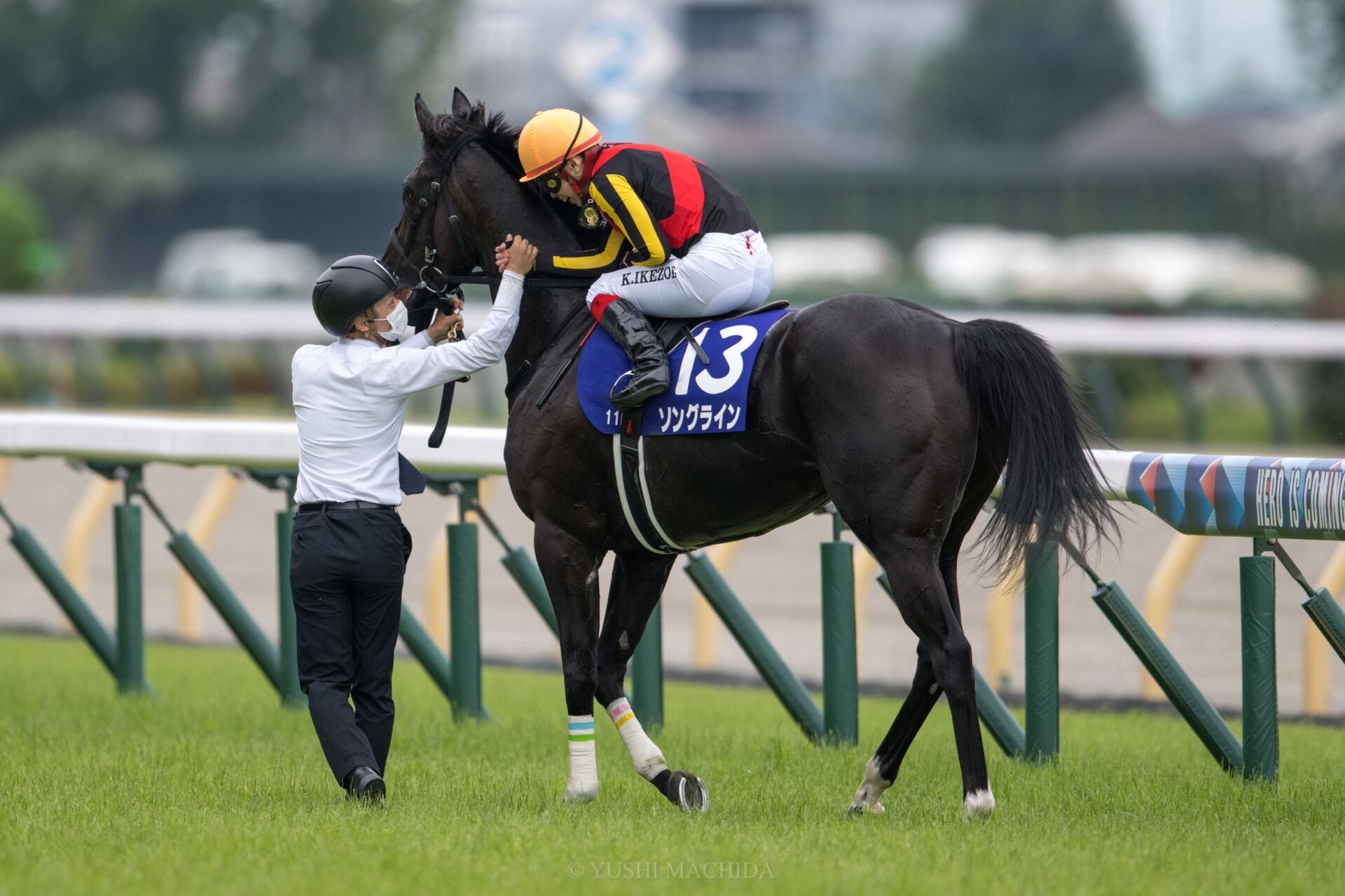 代引き人気 ソングライン 出資者限定ジャンパー、ブルゾン 競馬