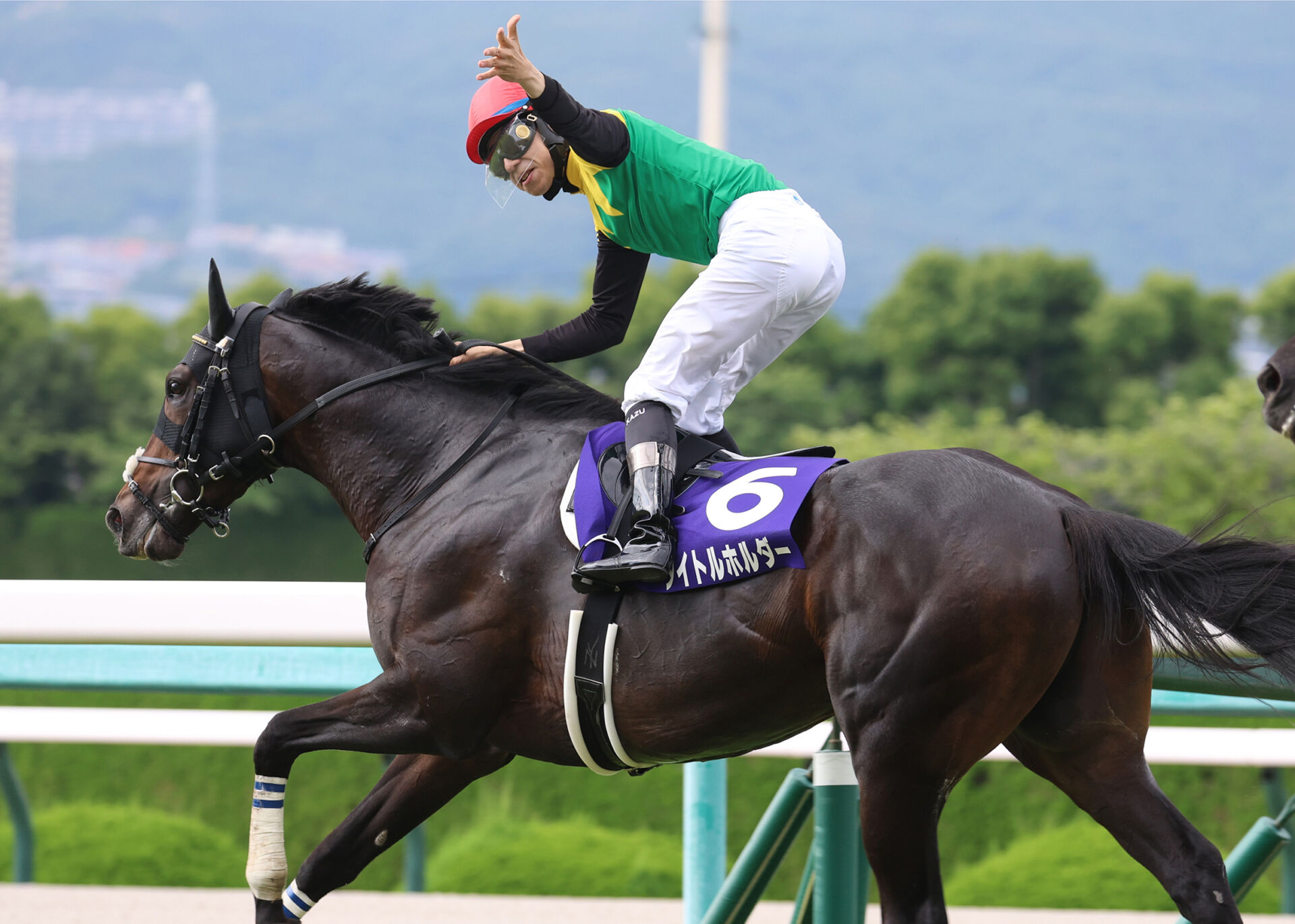 【宝塚記念】タイトルホルダーがG1・3勝目 | 競馬ニュースなら競馬