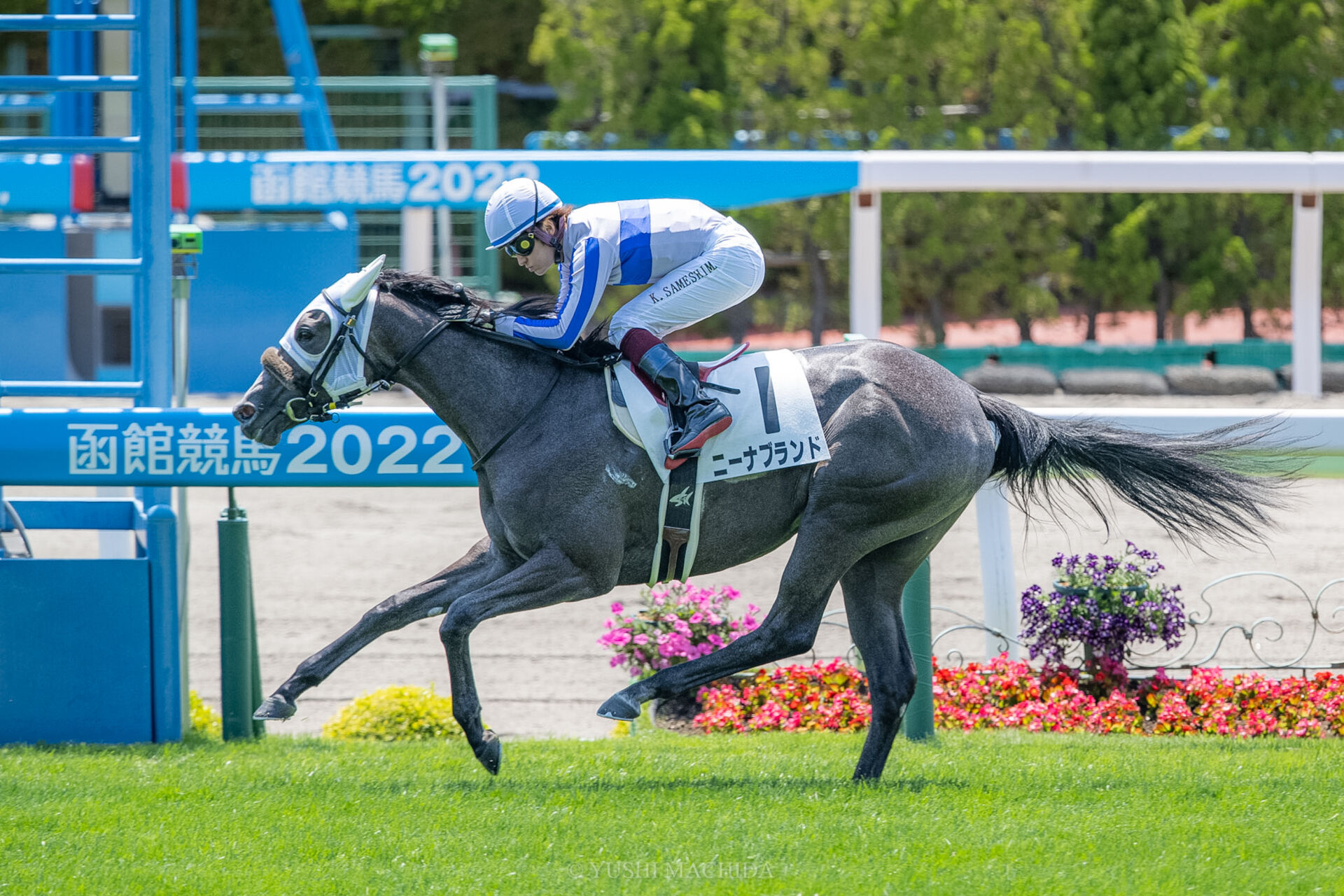 函館競馬場開設1周年 ラバーコースター ご当地ターフィー サイズ 直径約9cm Jra 競馬 北海道 非売品 未使用品 未開封品 衝撃特価