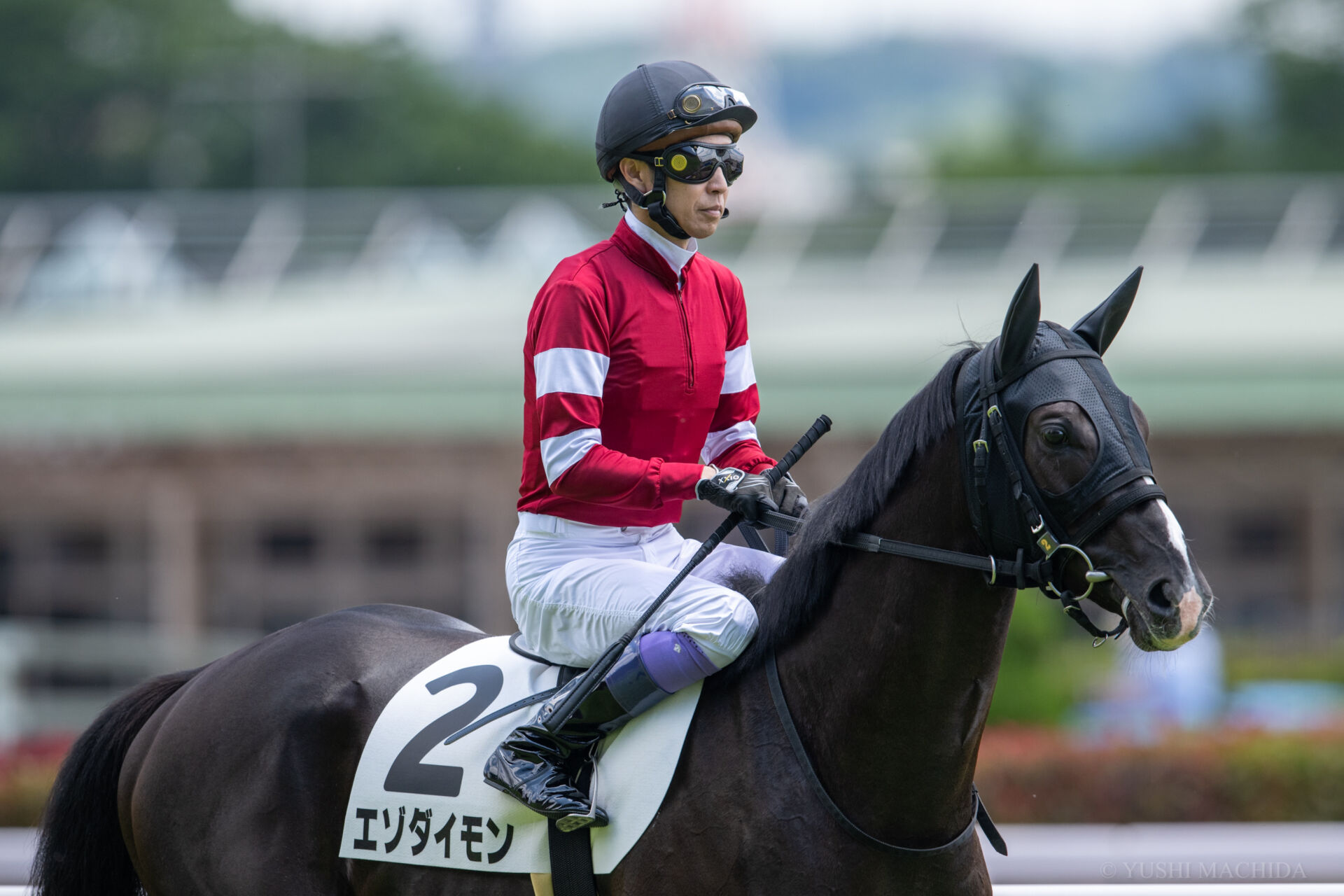 匿名送料無料 函館競馬場グランドオープン記念 ナリタブライアン 絵柄 単勝馬券 マンハッタンスカイ 第46回 函館記念 10 7 25 即決 豪華ラッピング無料