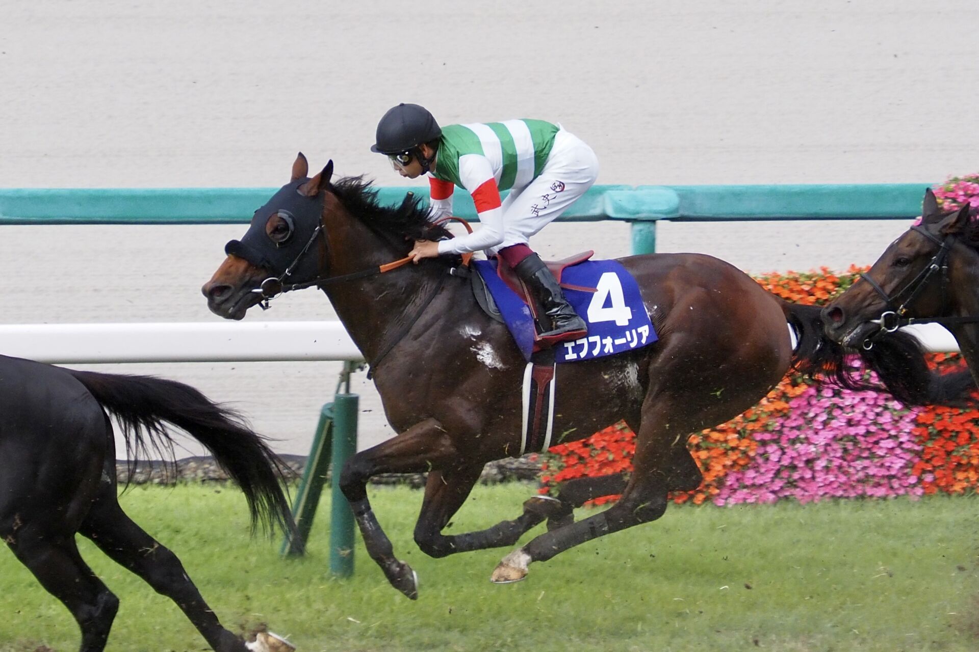 レア　かみのやま競馬マッチ　2つ レア かみのやま競馬マッチ 2つ