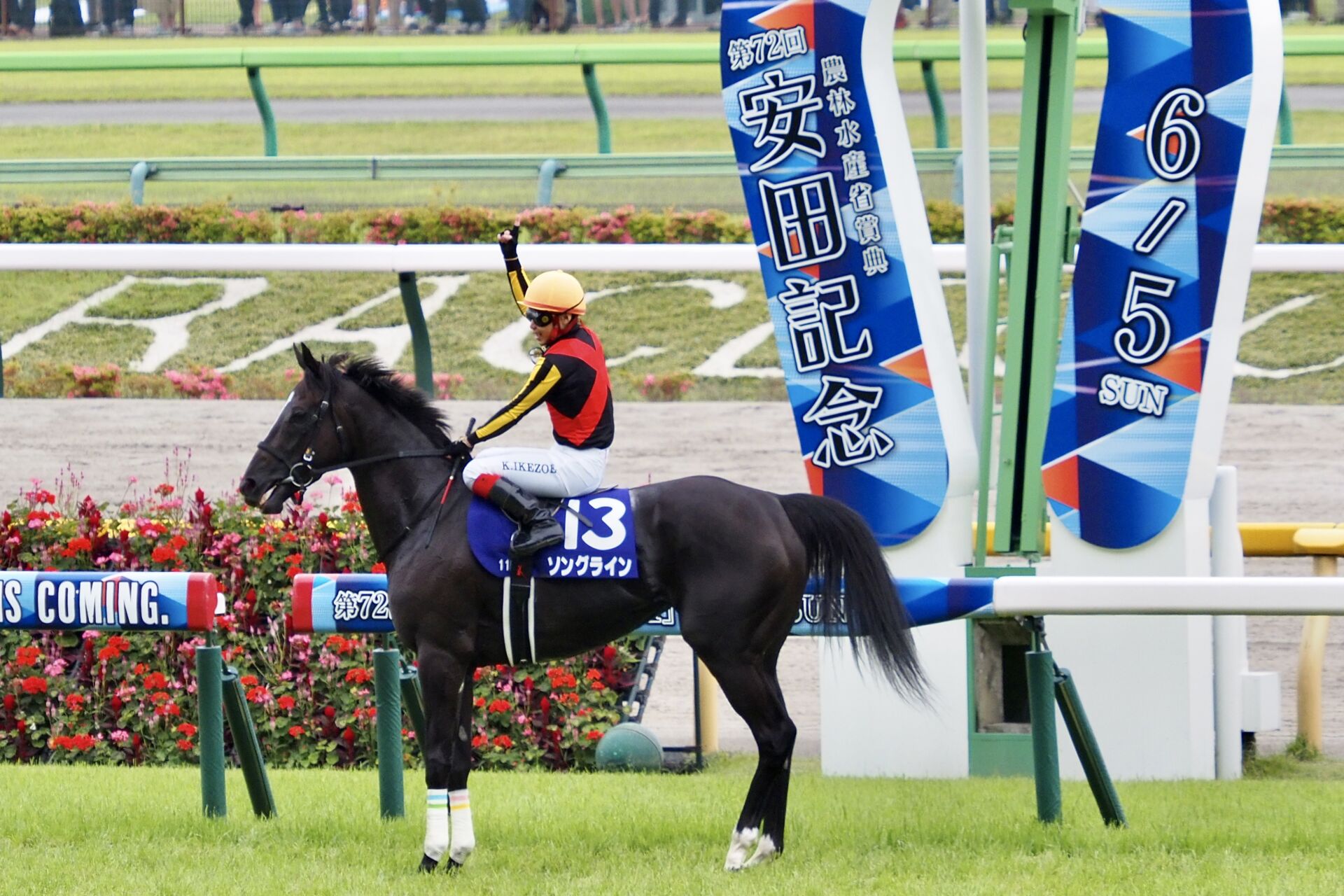 ソングライン の写真ギャラリー| 競馬ニュースなら競馬のおはなし
