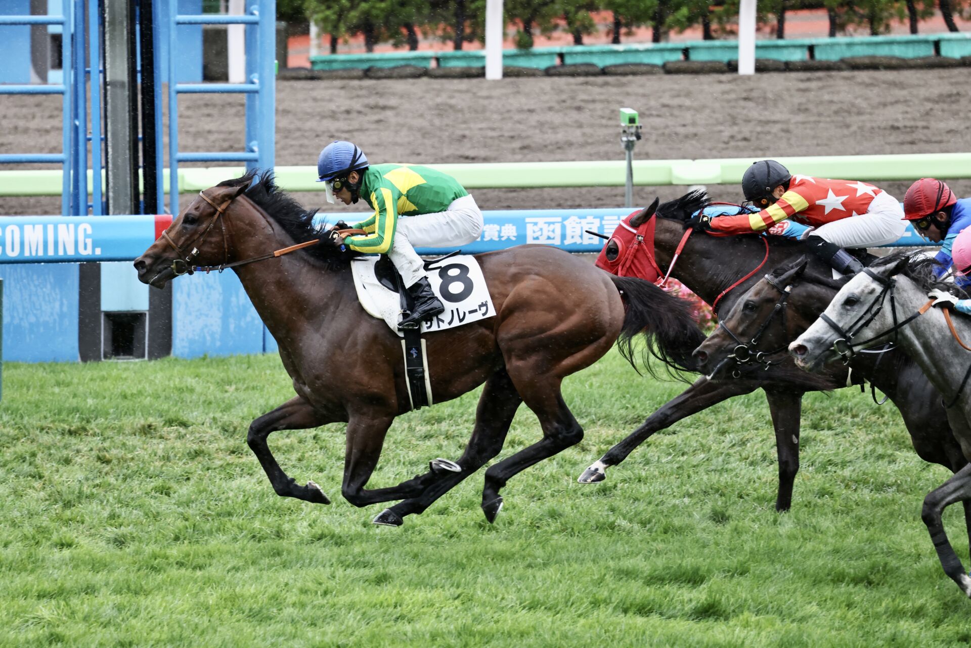 函館8R】サトノレーヴが人気に応える | 競馬ニュースなら競馬のおはなし