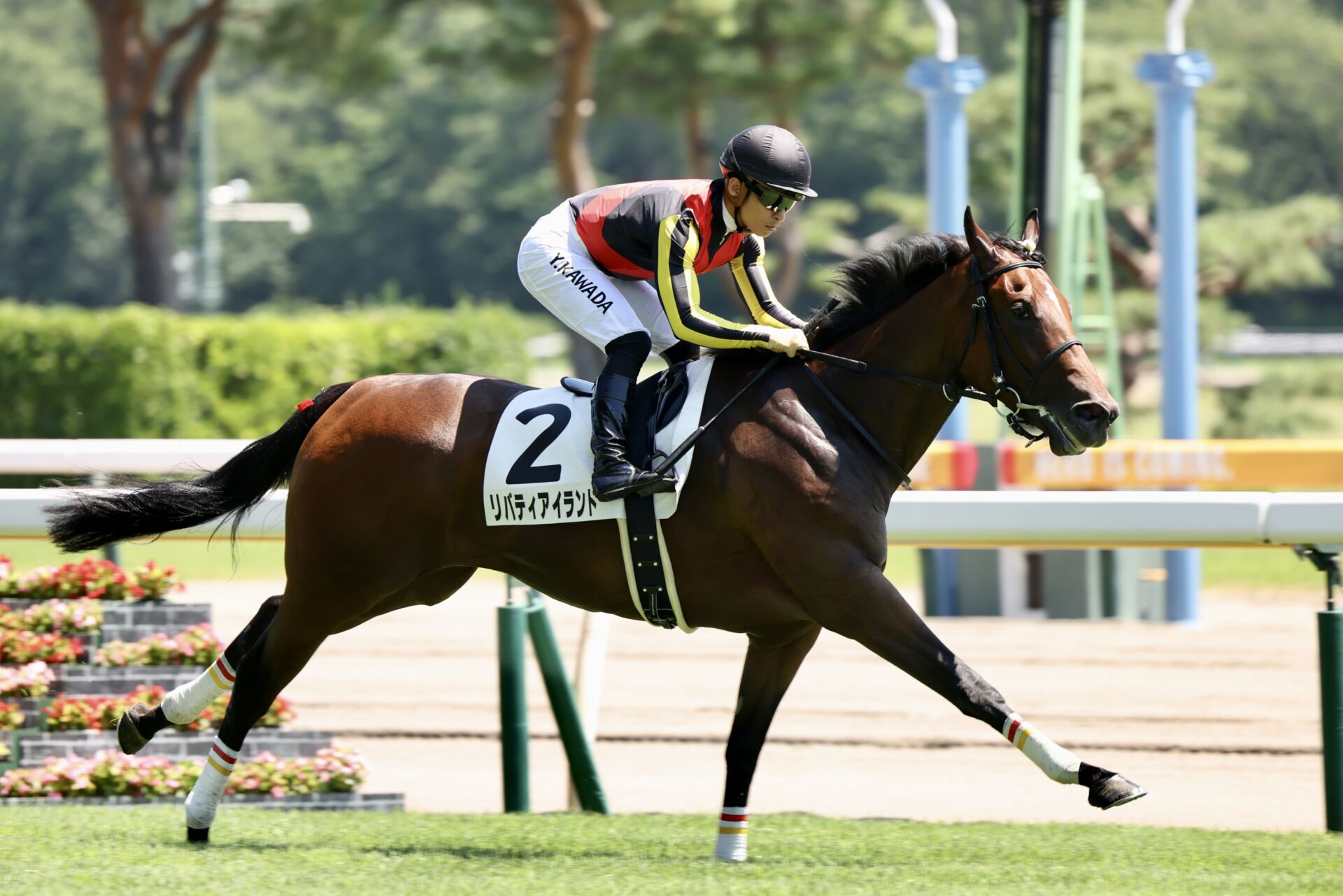 【新馬/新潟5R】上がり31.4！良血リバティアイランドがデビューV 