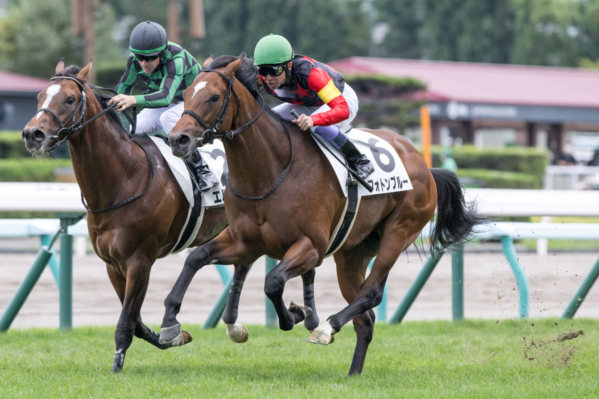 2f742eb7ad5150ca6d9f3eae27eb8b