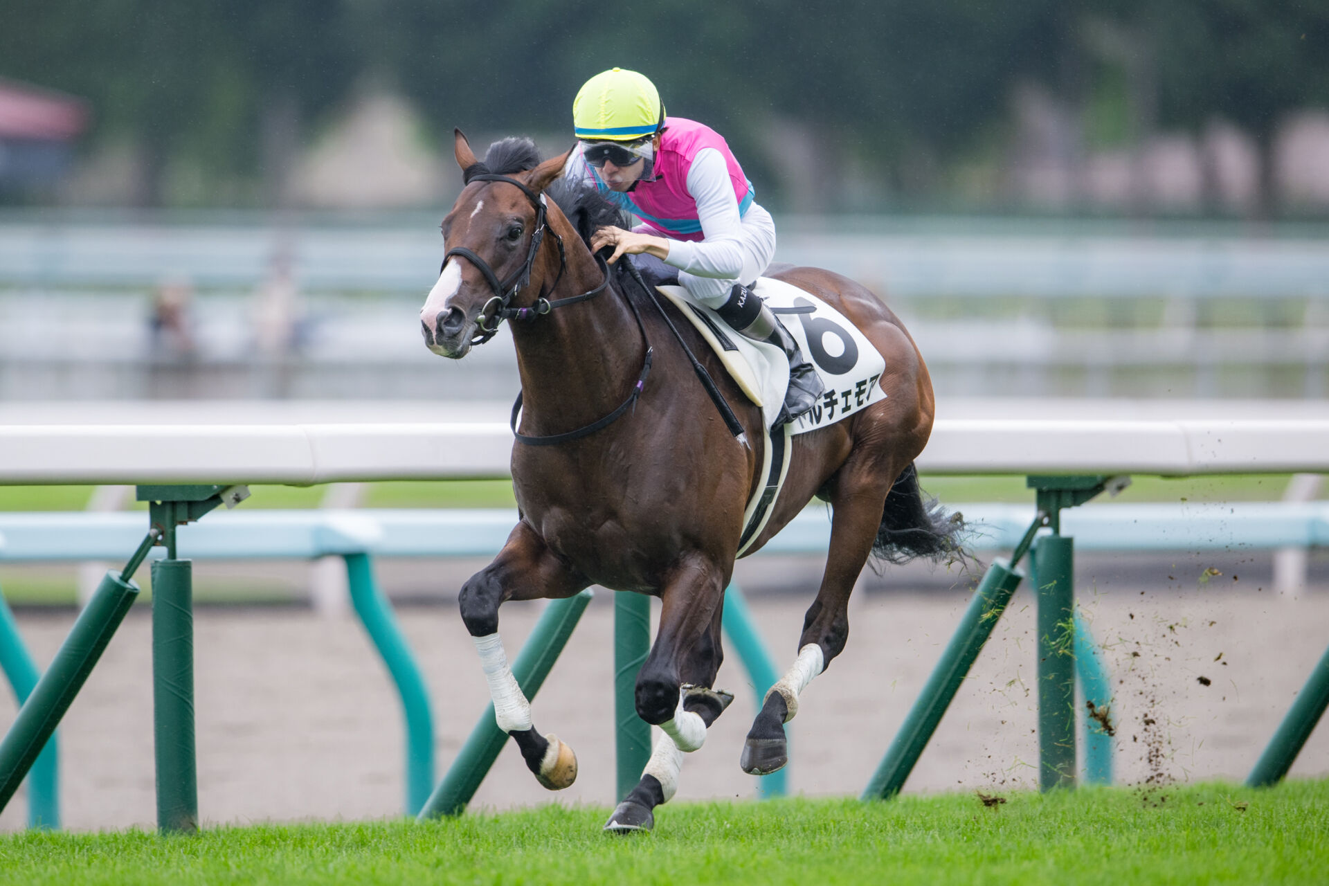 42e12be1cc1a90a864dd2a6127f2bf