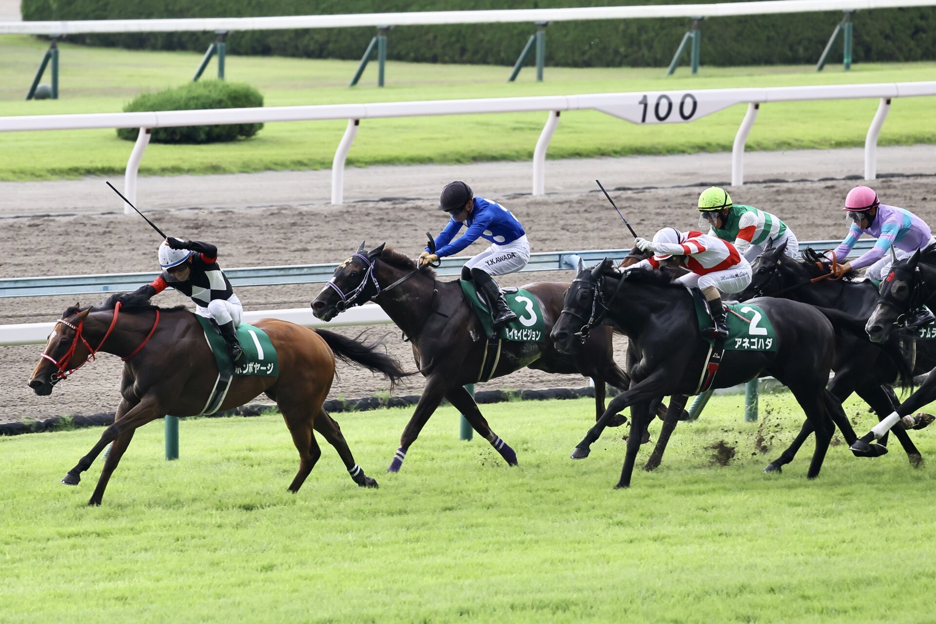 競馬 □WIN５を ～３９回～ 的中させた□ 最強ロジック！！ - 情報