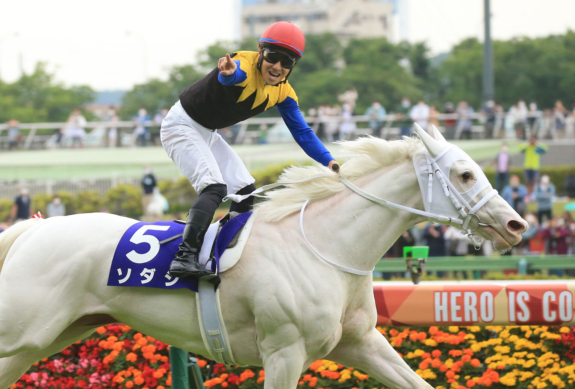 ソダシ 現地 単勝馬券 阪神JF ヴィクトリアマイル 府中牝馬 安田記念 