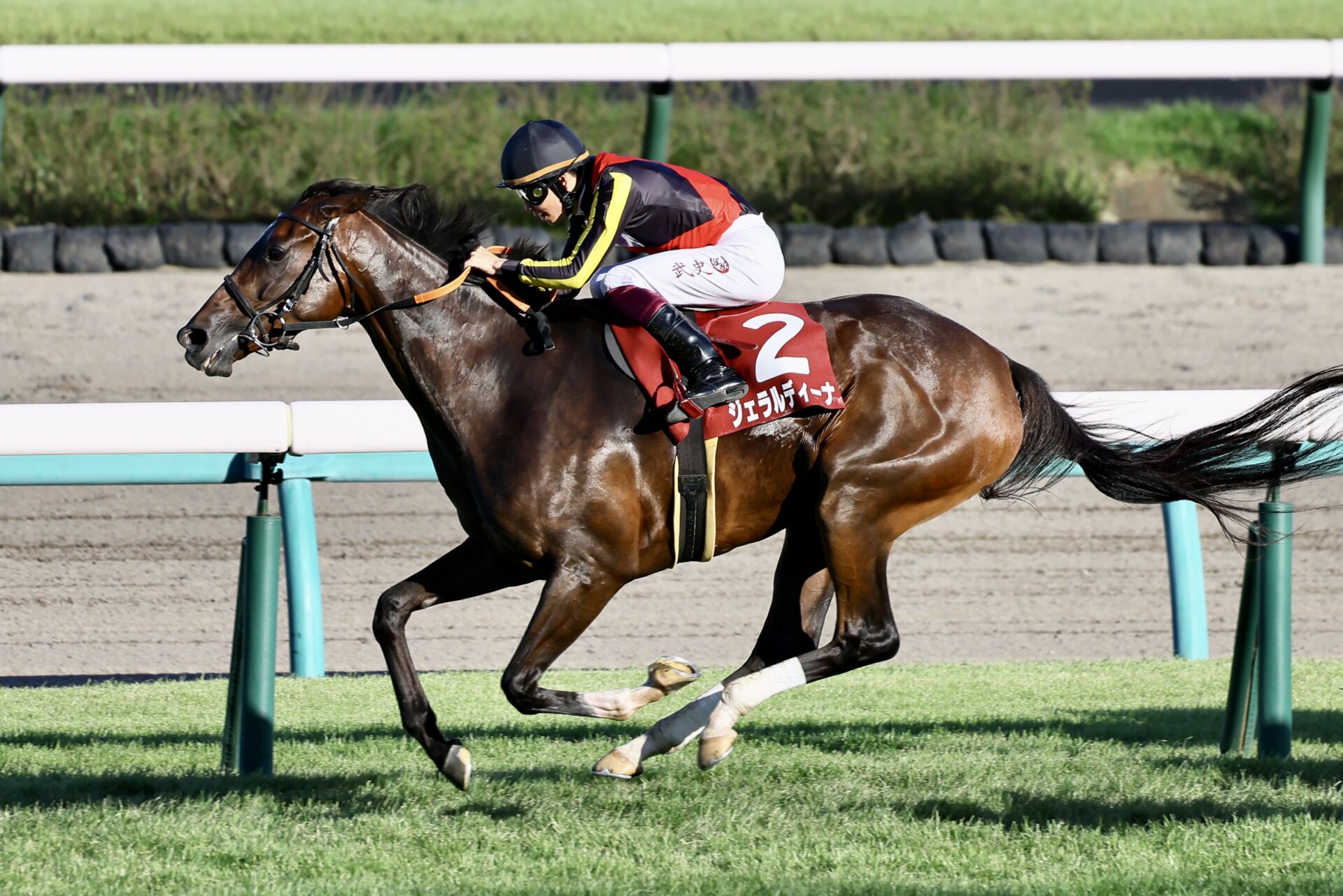 オールカマー】ジェラルディーナが重賞初制覇！デアリングタクトは