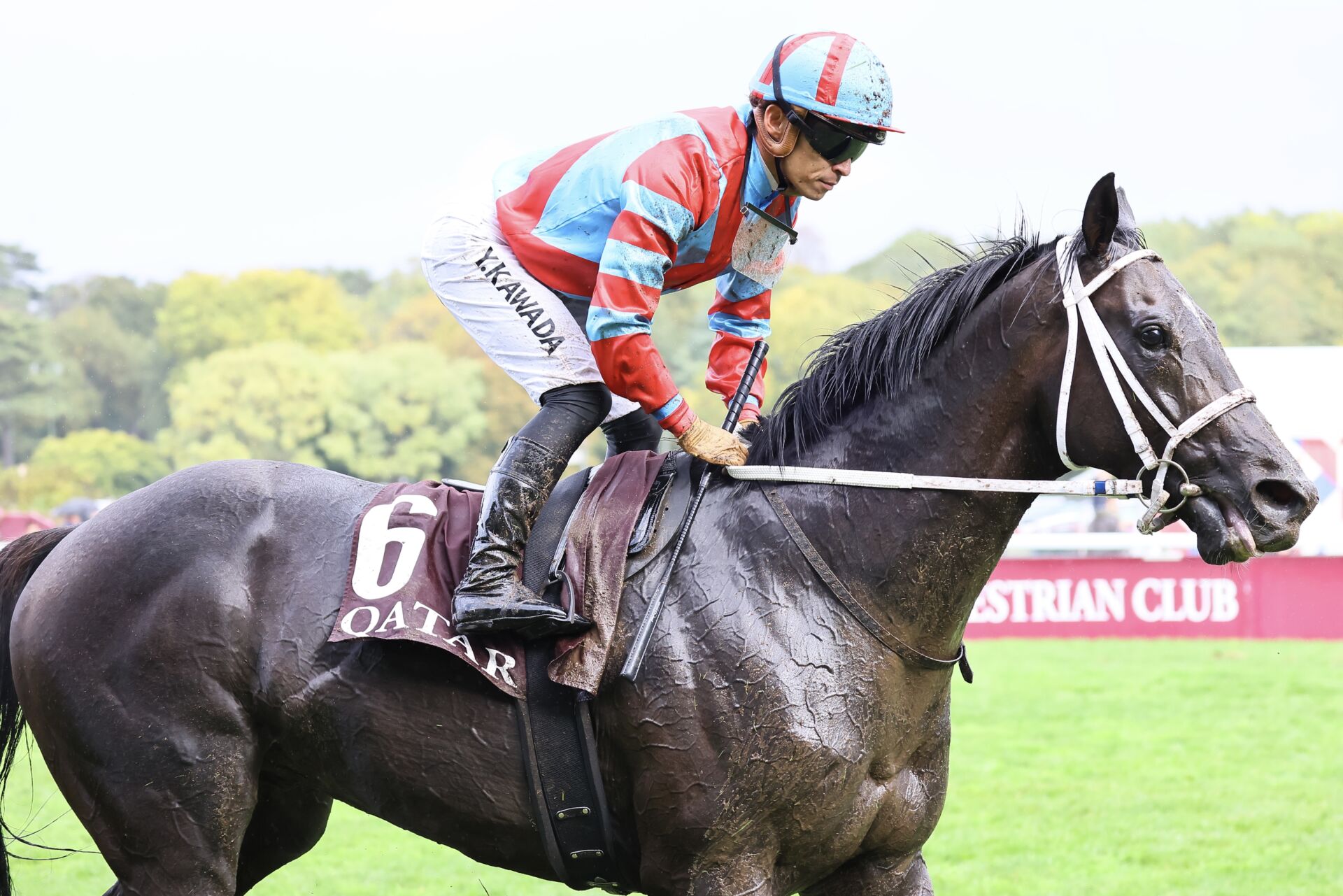 凱旋門賞】川田「馬場適性の差が出た内容」ディープボンドは18着 | 競馬ニュースなら競馬のおはなし