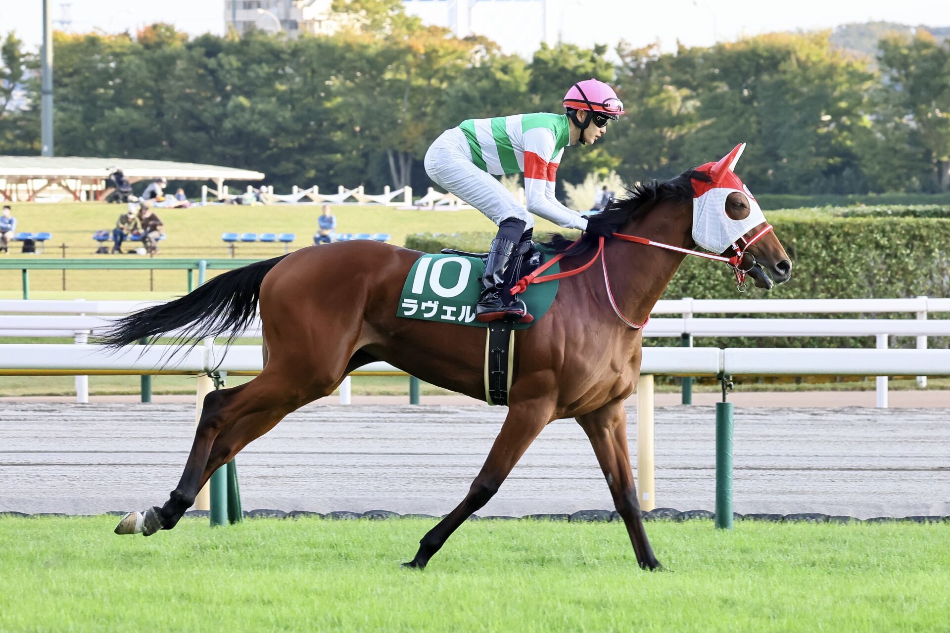 58e1057079beb5d695882aa7600263