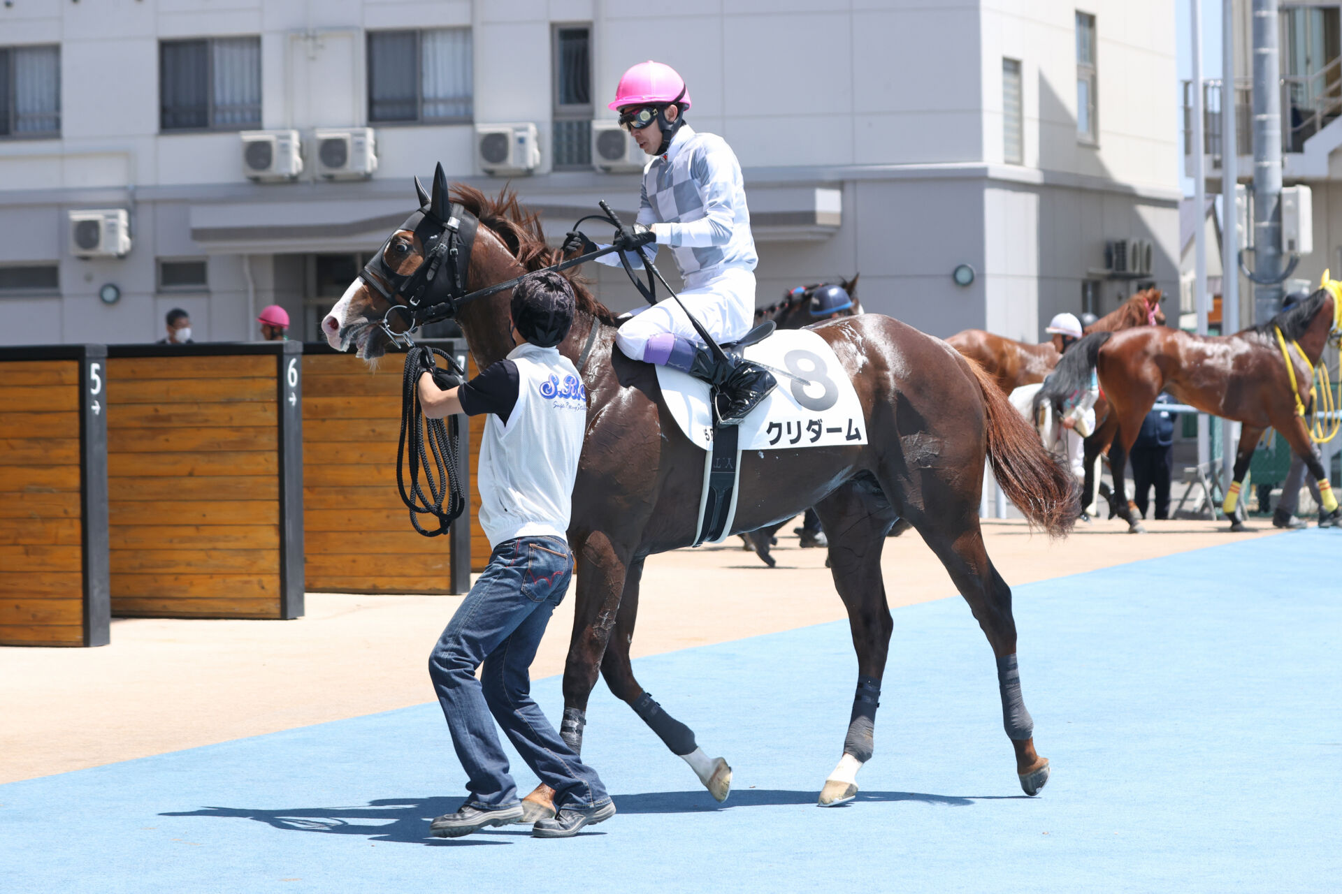 クラブ初出走・初勝利」インゼルサラブレッドクラブ、新規募集開始 初