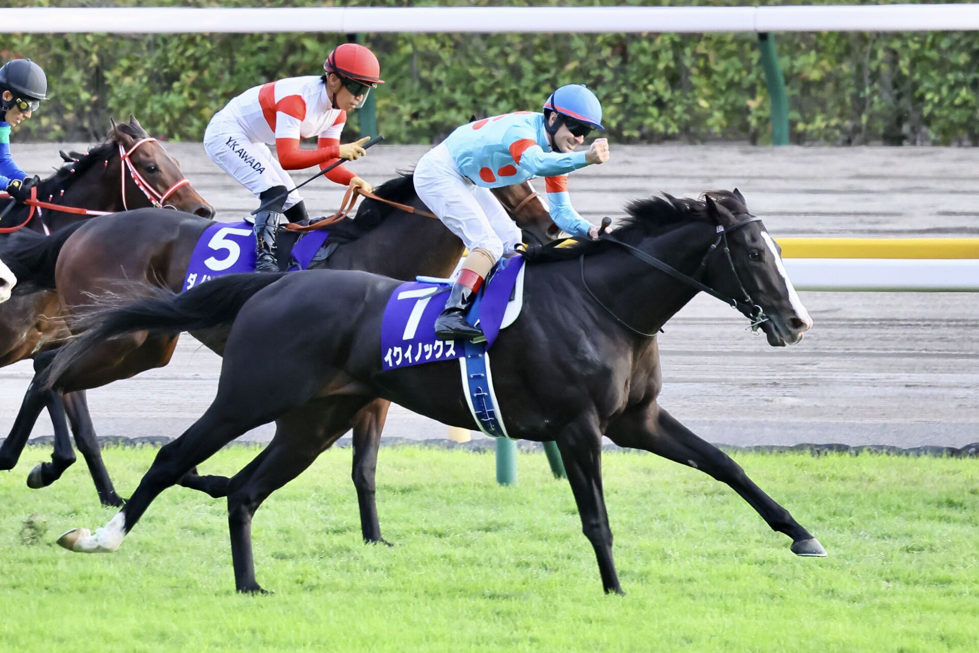 天皇賞・秋】ルメール騎乗 イクイノックスが快勝！G1・1番人気馬の呪い