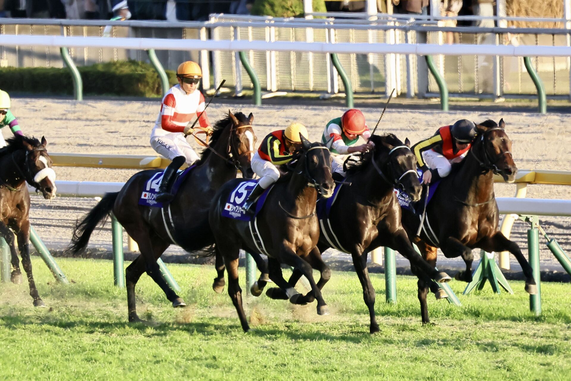 C.デムーロ騎手が再び騎乗停止、ジャパンカップで斜行 | 競馬ニュースなら競馬のおはなし