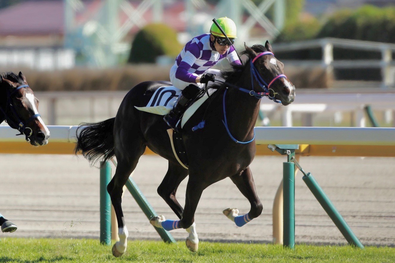 馬券単勝 ポルトフィーノ 新馬戦 馬券単勝 ポルトフィーノ 新馬戦 馬券単勝 ポルトフィーノ 新馬戦 馬券