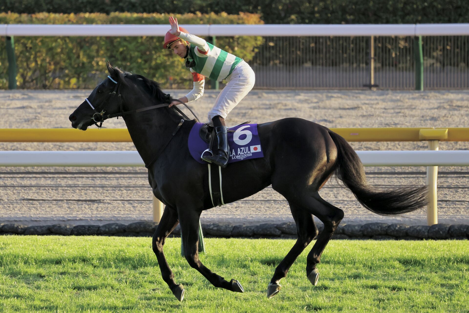 ジャパンC】ムーア「詰まる場面何度も…」ヴェラアズールがG1初制覇